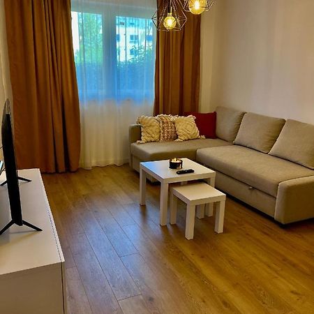 Alexander Cozy Apartment Free Private Parking Mediaş 외부 사진